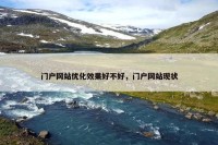 门户网站优化效果好不好，门户网站现状