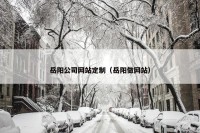 岳阳公司网站定制（岳阳做网站）