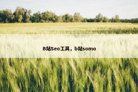 B站Seo工具，b站somo