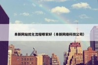 阜新网站优化流程哪家好（阜新网络科技公司）