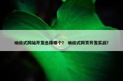 响应式网站开发选择哪个？ 响应式网页开发实战？