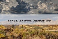 南昌网站推广服务公司排名（南昌网络推广公司）