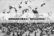 泉州网站搜索引擎优化？ 泉州seo公司排名？