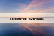静海区网站推广软文（网站推广文案简洁）
