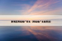 静海区网站推广软文（网站推广文案简洁）