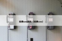 纵横seo团队（纵横ceo）