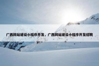广西网站建设小程序开发，广西网站建设小程序开发招聘