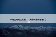 宁河区网站优化推广（天津网络优化推广）