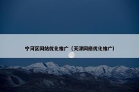 宁河区网站优化推广（天津网络优化推广）