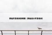 网站开发培训到哪里（网站设计开发培训）