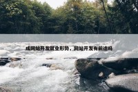 成网站开发就业形势，网站开发有前途吗