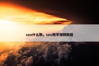 seo什么教，seo教学视频教程