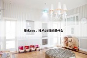 技术seo，技术SE指的是什么