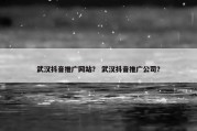 武汉抖音推广网站？ 武汉抖音推广公司？