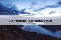 石家庄做网站公司，石家庄大型网站建设公司