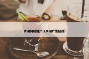 罗湖网站推广（罗湖广告招牌）