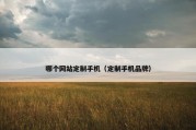 哪个网站定制手机（定制手机品牌）