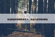 食品网站开发哪家有实力，食品行业常用的网站