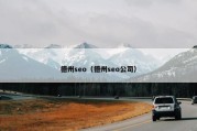 德州seo（德州seo公司）