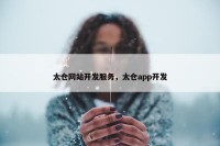 太仓网站开发服务，太仓app开发
