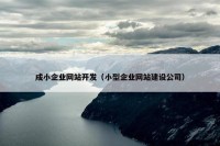 成小企业网站开发（小型企业网站建设公司）