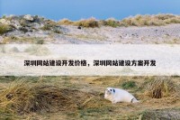 深圳网站建设开发价格，深圳网站建设方案开发