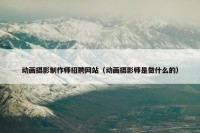 动画摄影制作师招聘网站（动画摄影师是做什么的）