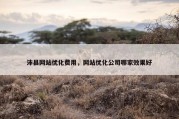 沛县网站优化费用，网站优化公司哪家效果好