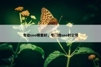 专业seo哪里好，专门做seo的公司