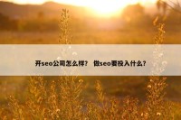 开seo公司怎么样？ 做seo要投入什么？
