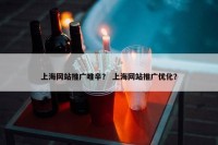 上海网站推广唯辛？ 上海网站推广优化？