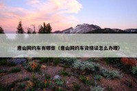 唐山网约车有哪些（唐山网约车资格证怎么办理）