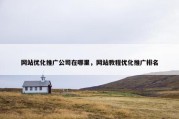 网站优化推广公司在哪里，网站教程优化推广排名
