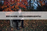 建筑行业大数据（建筑行业大数据综合查询平台）