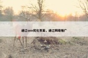 通辽seo优化页面，通辽网络推广