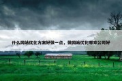 什么网站优化方案好做一点，做网站优化哪家公司好