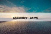 山西商城网站定制？ 山西购物？