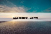 山西商城网站定制？ 山西购物？