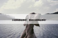 小说网建站源码？ 原创小说网站源码？