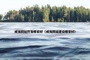 威海网站开发哪家好（威海网站建设哪家好）