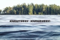 威海网站开发哪家好（威海网站建设哪家好）