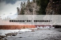 想要网站导航推广页桃？ 想要导航网站提示？