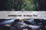 新余网站优化方案？ 彼一时也,此一时也？