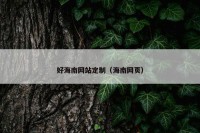 好海南网站定制（海南网页）