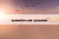 宿迁网站开发中心招聘（宿迁在线招聘）