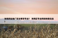 海珠网站推广软文哪家专业？ 海珠区专业网络销售信息？