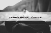三亚海南网站定制代理商？ 三亚私人订制？