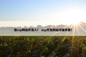 做ssp网站开发人？ asp开发网站详细步骤？