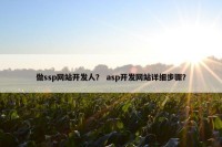 做ssp网站开发人？ asp开发网站详细步骤？