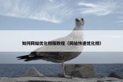 如何网站优化排版教程（网站快速优化排）